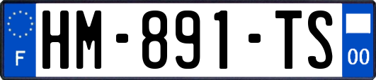 HM-891-TS