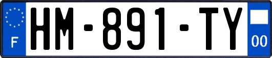 HM-891-TY