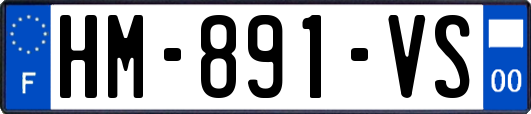 HM-891-VS