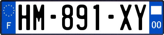 HM-891-XY