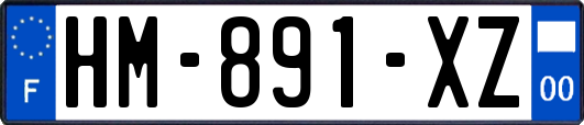 HM-891-XZ