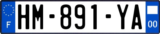 HM-891-YA