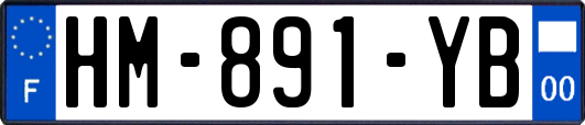 HM-891-YB