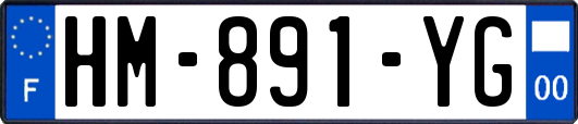 HM-891-YG
