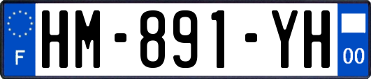HM-891-YH