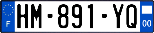 HM-891-YQ