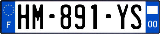 HM-891-YS