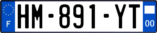HM-891-YT