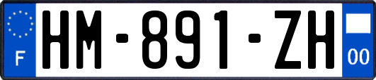HM-891-ZH
