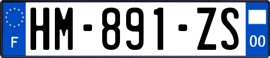 HM-891-ZS