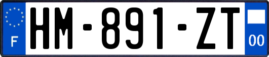 HM-891-ZT