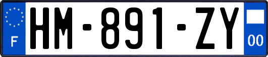 HM-891-ZY