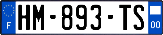 HM-893-TS