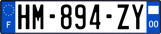 HM-894-ZY