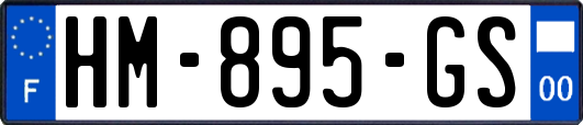 HM-895-GS