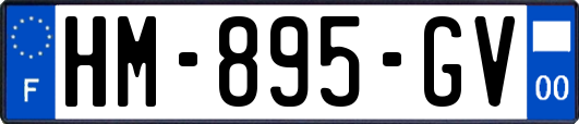 HM-895-GV