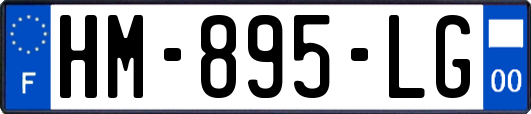 HM-895-LG