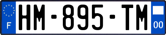 HM-895-TM