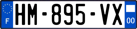HM-895-VX