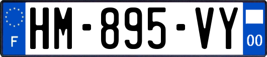HM-895-VY