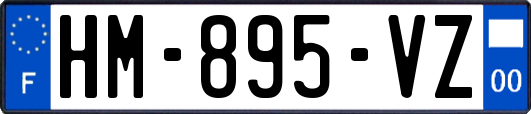 HM-895-VZ