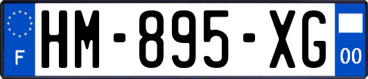 HM-895-XG