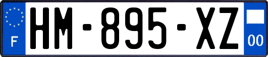 HM-895-XZ