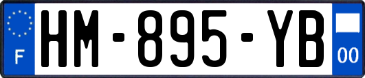 HM-895-YB