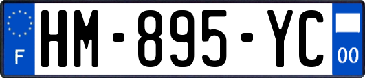 HM-895-YC