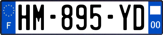 HM-895-YD