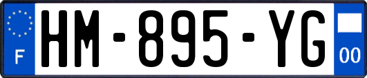 HM-895-YG