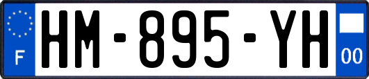 HM-895-YH