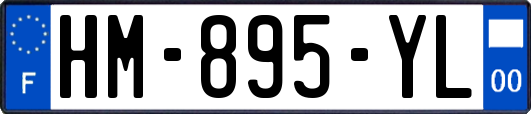 HM-895-YL