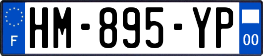 HM-895-YP