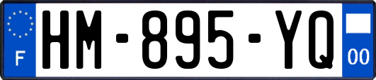 HM-895-YQ