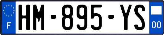 HM-895-YS