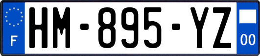 HM-895-YZ