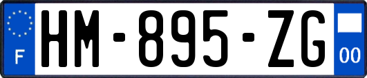 HM-895-ZG