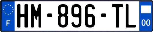 HM-896-TL