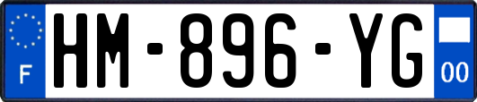 HM-896-YG