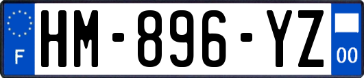 HM-896-YZ