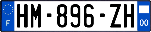 HM-896-ZH