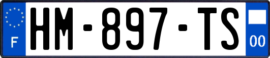 HM-897-TS