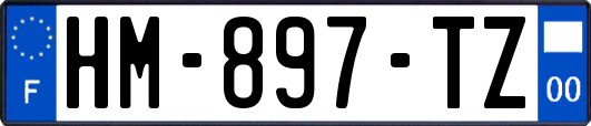 HM-897-TZ