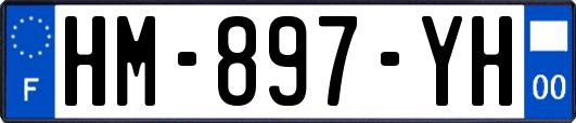 HM-897-YH