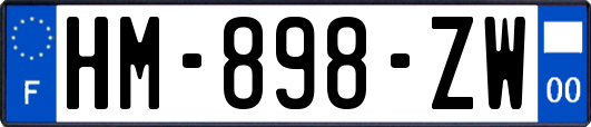 HM-898-ZW