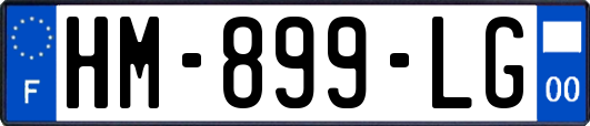 HM-899-LG
