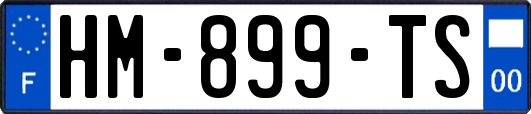 HM-899-TS