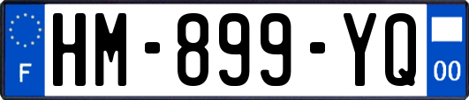 HM-899-YQ