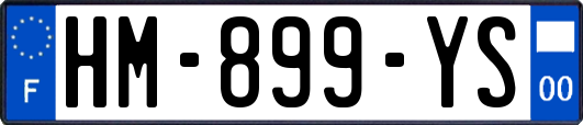 HM-899-YS